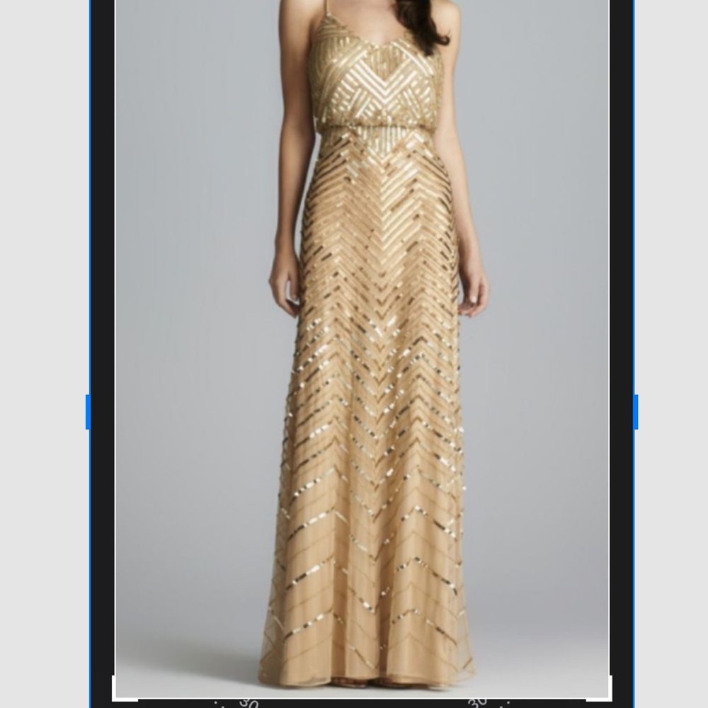 Never Been Worn Adrianna Papell Gown